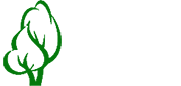 ZEPP ELAGUEUR